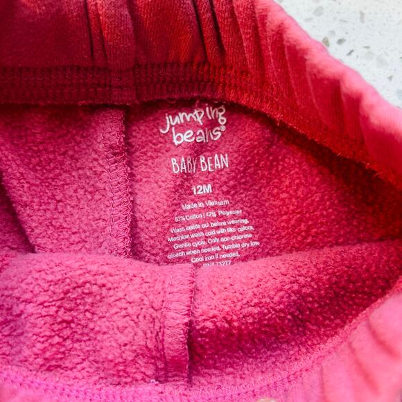 12 Month Girl Outfit Gray Owl Long Sleeve with Pink Sweatpants - Picture 7 of 7